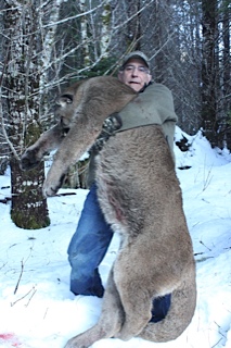 cougar